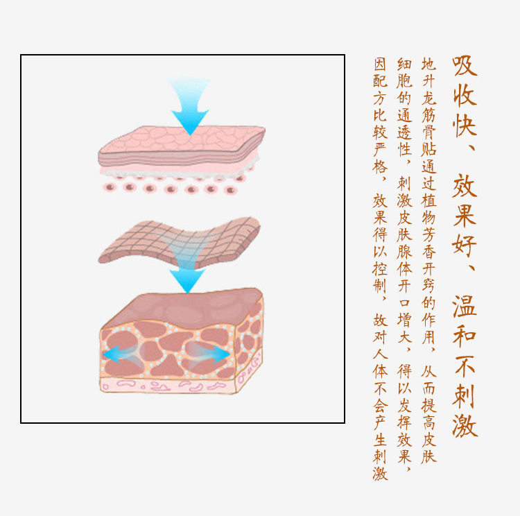 地升龙师家筋骨贴价格多少钱(全国统一价格)