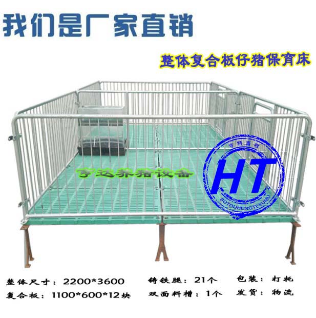 自动化养猪设备小猪保育床 出售保育栏厂家