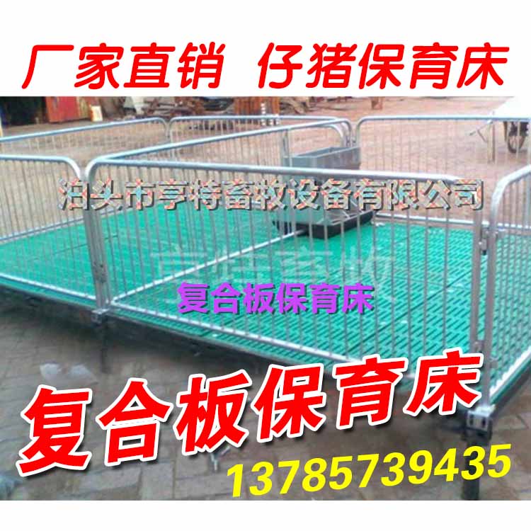 自动化养猪设备小猪保育床 出售保育栏厂家