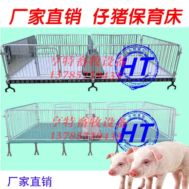 自动化养猪设备小猪保育床 出售保育栏厂家