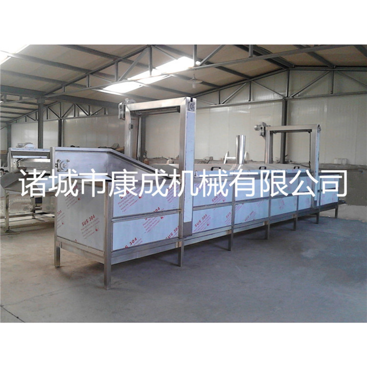 青豆油炸机商用豆泡油炸机