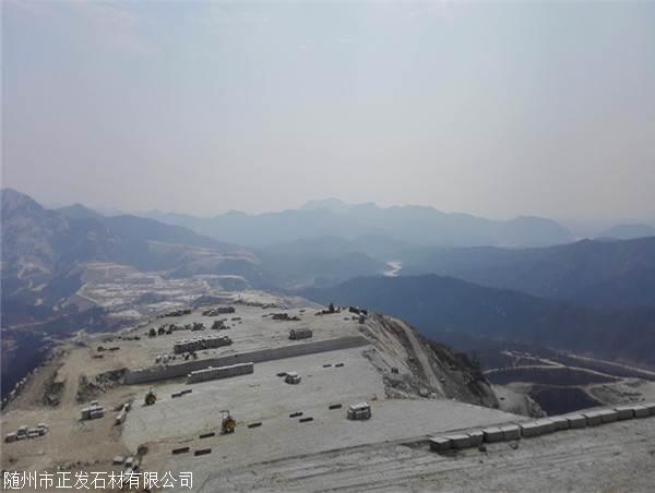 湖北黄金麻产地