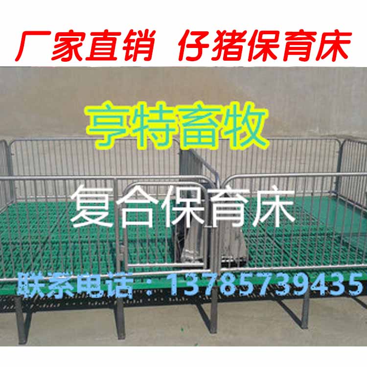 仔猪双体保育床
