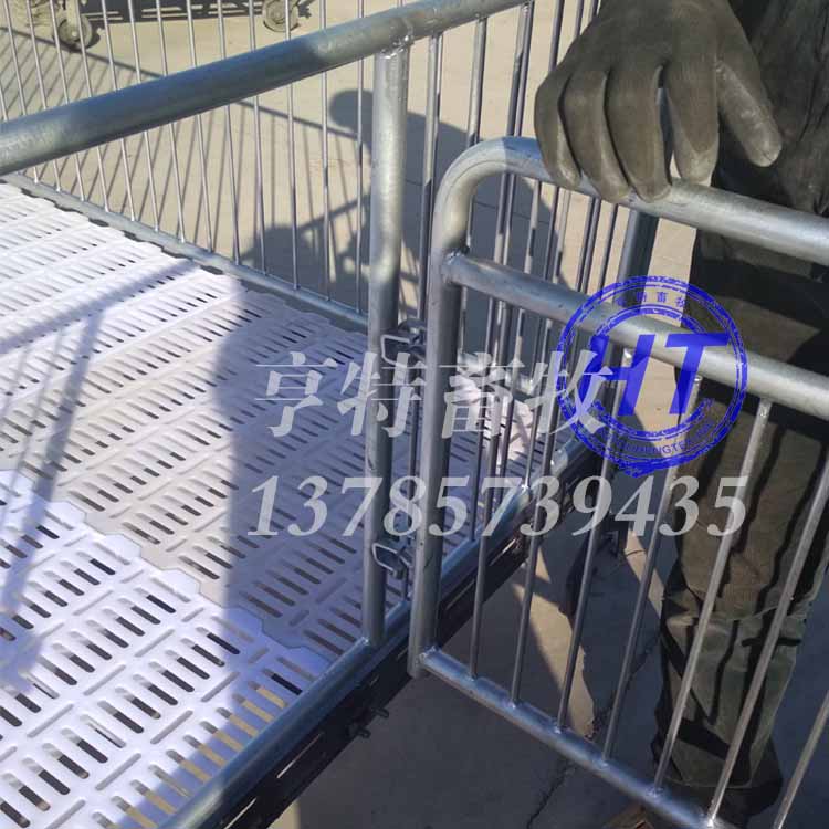 仔猪双体保育床