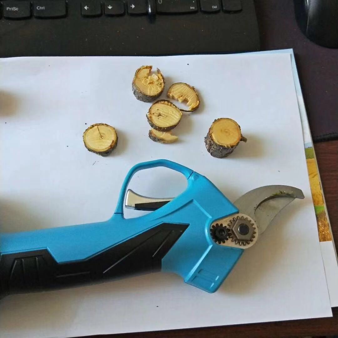 果园修建工具 园林修剪机 高枝剪