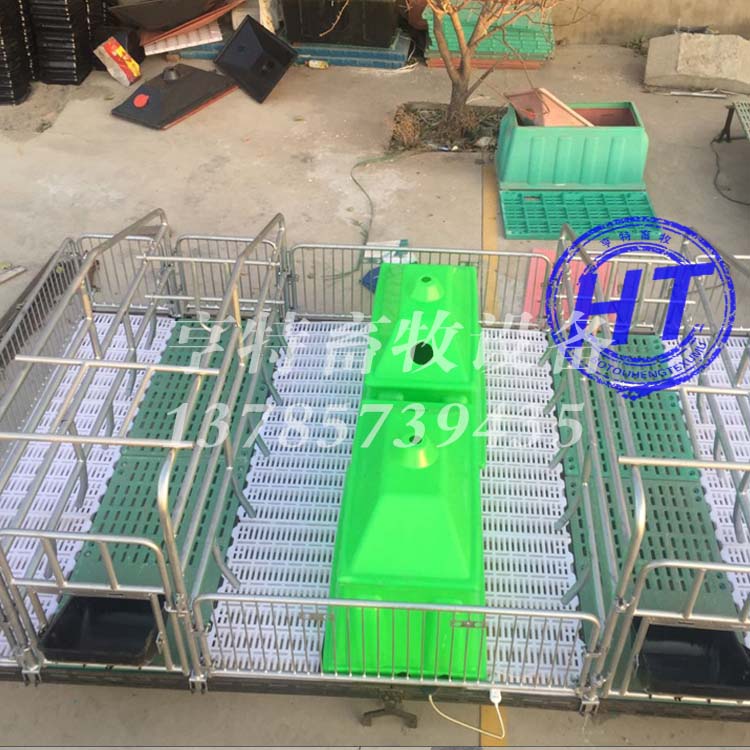 现代化猪舍母猪双体产床复合板 塑料板猪用
