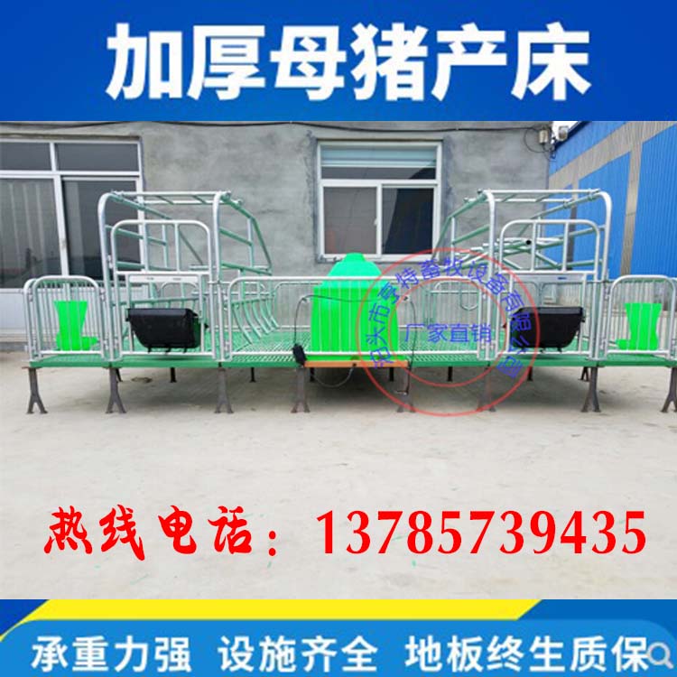 现代化猪舍母猪双体产床复合板 塑料板猪用
