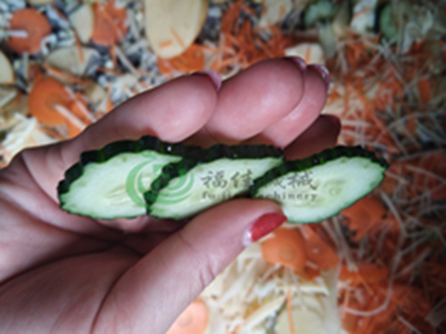 多功能切菜机