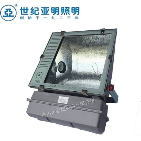 上海亚明ZY46 1000W固定安装式泛光灯具