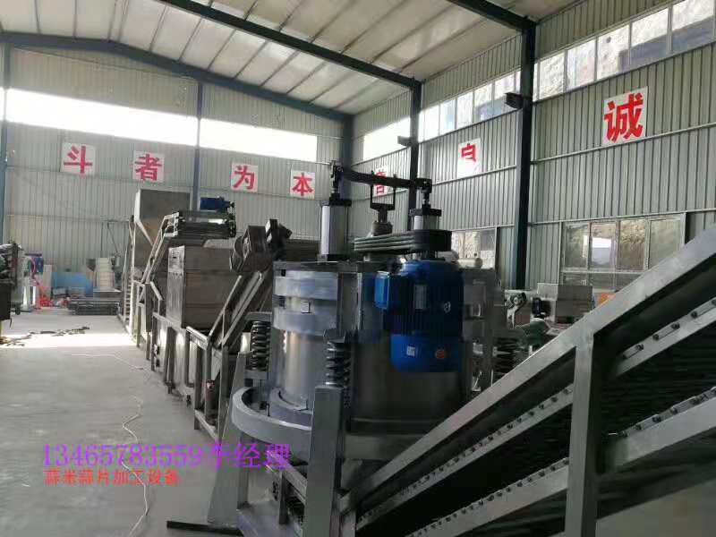 蒜片烘箱生产厂家