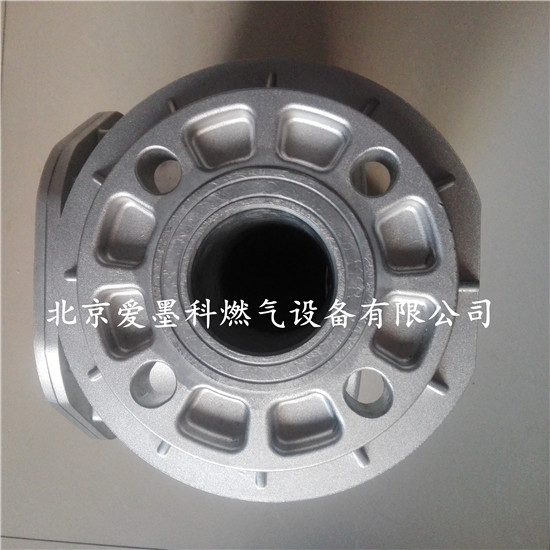 意大利Fiorentini菲奥过滤器