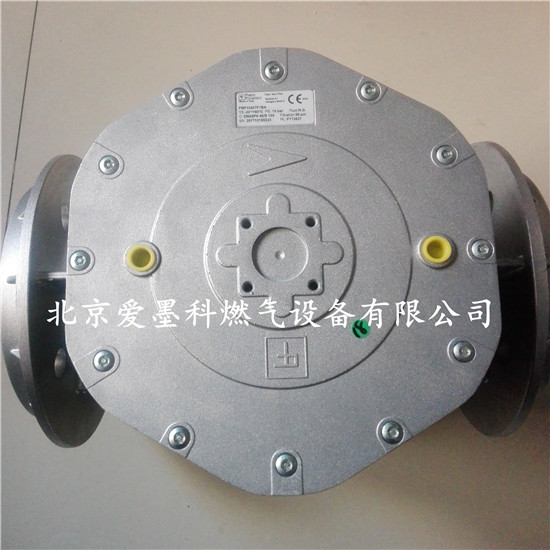 菲奥过滤器煤气过滤调压器FMF10609