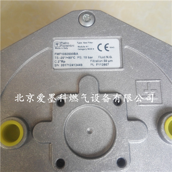 原装菲奥煤气过滤器10605/10606