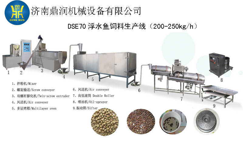 DSE65双螺杆膨化机宠物食品生产设备
