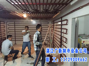 湛江肉库速冻库安装