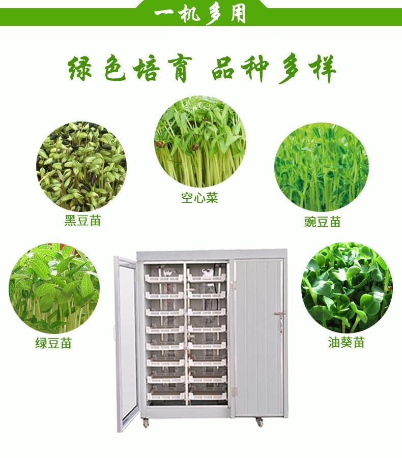 厂家直销芽苗菜生产设备 多功能芽苗菜机一机多用型