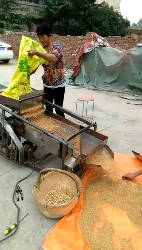 新乡厂家直销筛选机小麦玉米分级黄豆去杂机