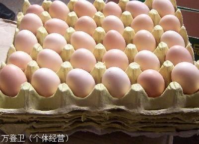 斗鸡价格孔雀钱弯弯。悠悠球图片