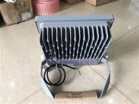 三雄PAK銀狐LED投光燈50W80W150W200W