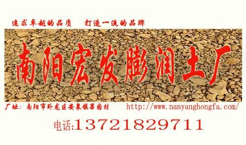 河南膨润土-型煤粘合剂-制香粘合剂