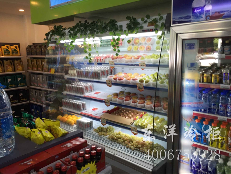 DOYOSL东洋商冷 水果蔬菜保鲜展示柜