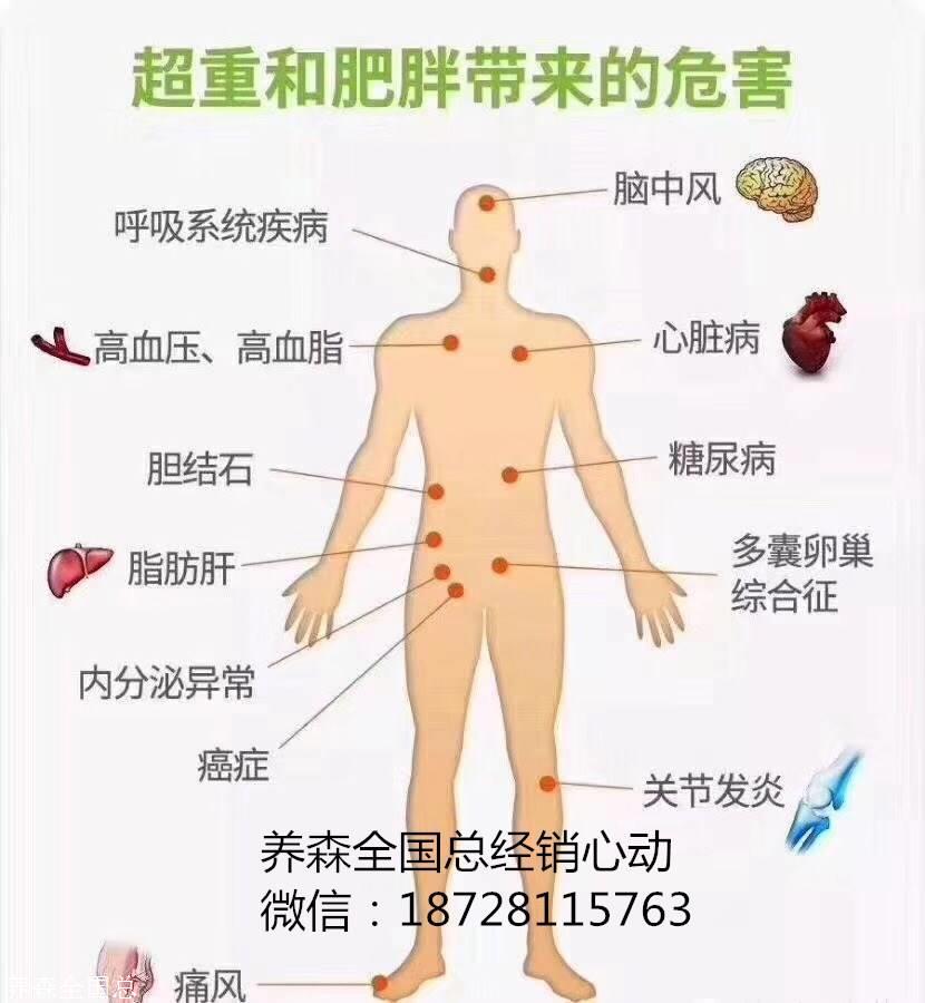 亲爱的:对照一下,看看自己该调理哪里了