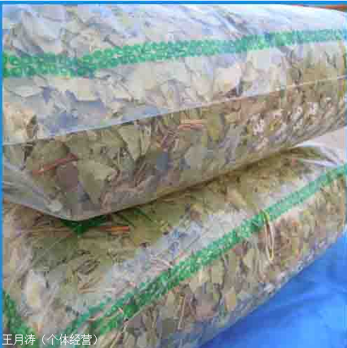 主推:商河猴枣(猴枣多少钱一斤)猴枣价格一般多少