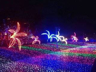 2019首届梦幻灯光节灯光节出租