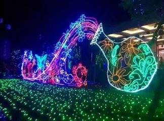 称霸一方机械大象出租