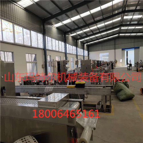 全自动连续拉伸膜真空包装机