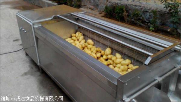 土豆莲藕毛辊清洗设备厂家
