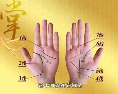如何看面相图解