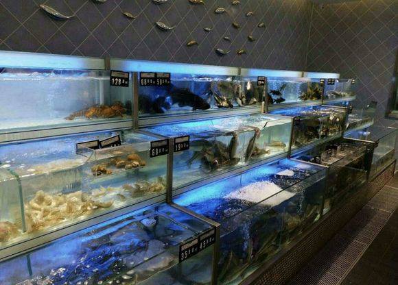 湘潭生鲜超市海鲜池制作 超市鱼缸资讯