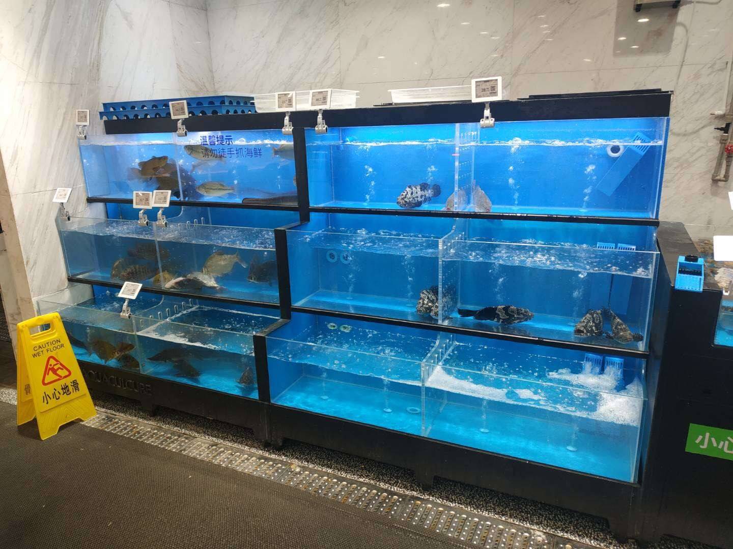 溆浦县生鲜超市海鲜池专业定做 超市鱼缸专业厂家找海鲨