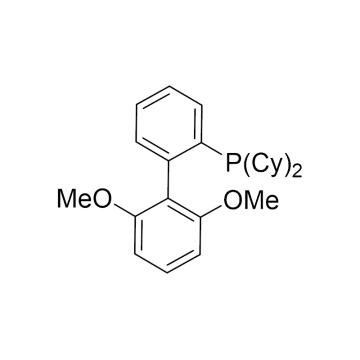 CAS：657408-07-6|2-双环己基膦-2',6'-二甲氧基联苯|98%|600349-25g