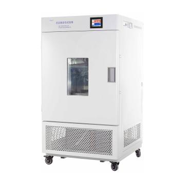 药品稳定性试验箱，一恒，LHH-500SD，控温范围：0~65℃，可程式液晶控制器，容积：500L