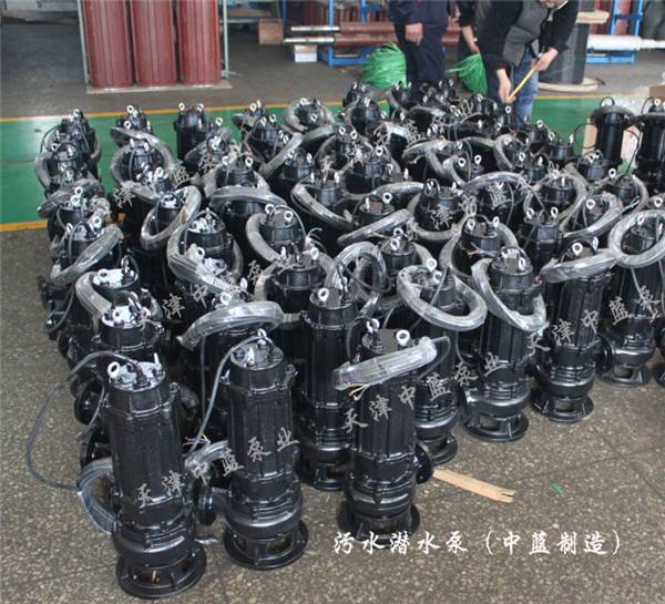 精铸南方防汛雨水泵wq潜水污水泵