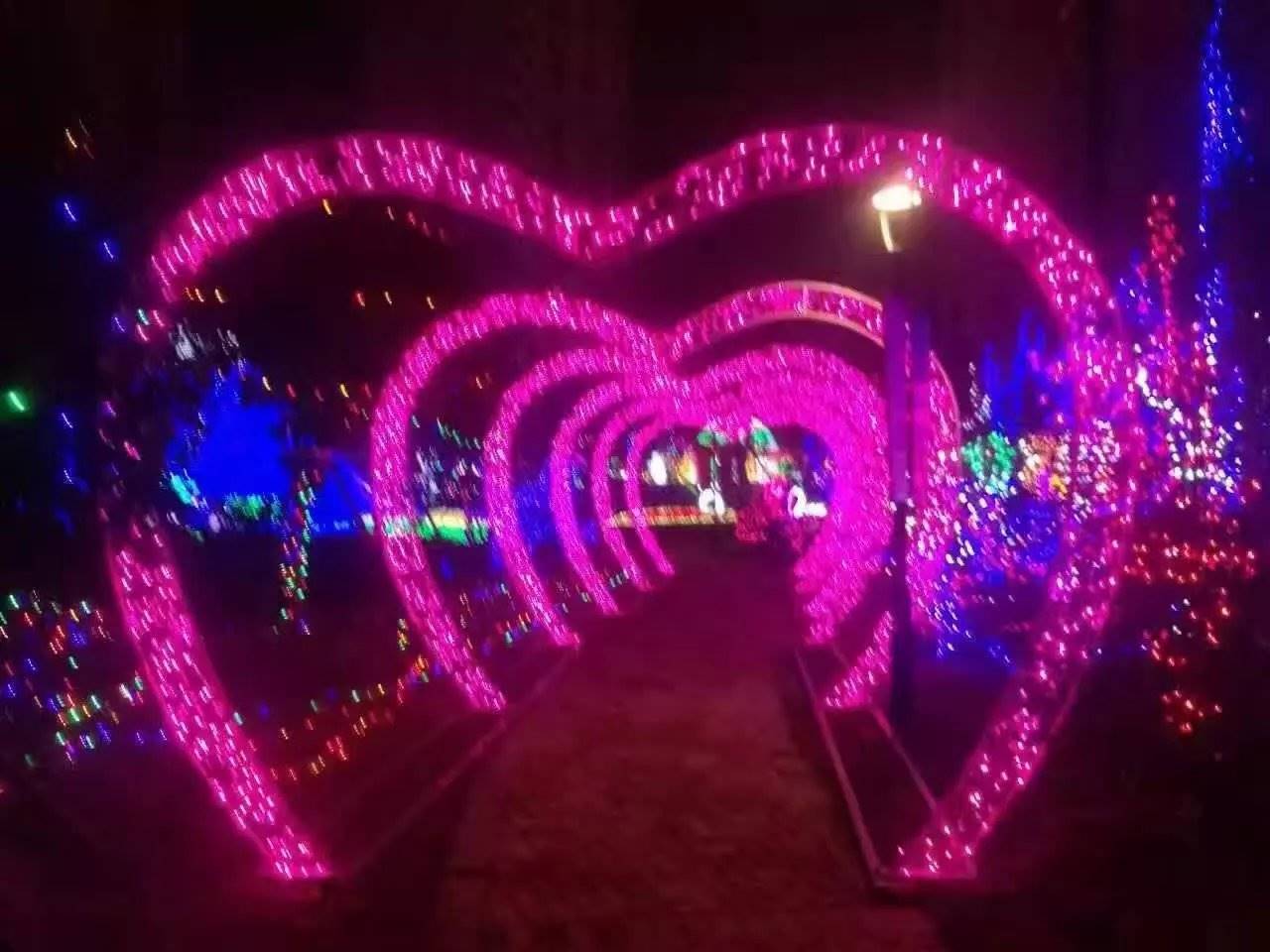 专业生产灯光展出租出售