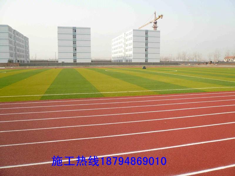 开云电竞app新国标塑胶跑道-搜了网