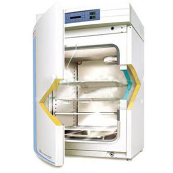 CO2细胞培养箱，热电 水套式，3111，控温范围：RT+5~55℃，内部尺寸：541×508×681mm