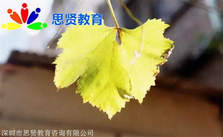 深圳落户要带什么资料真的很简单