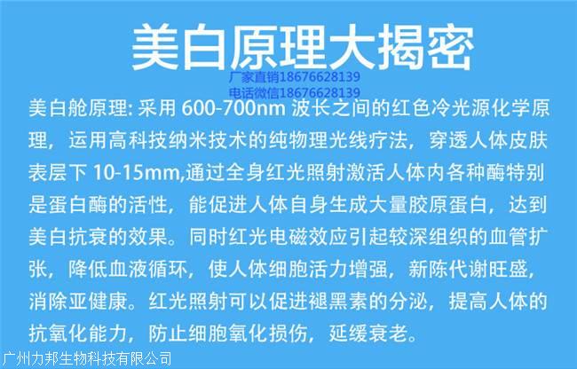 养生,保健设备 美容仪器 美白嫩肤仪器>德国进口平躺式全身美白太空