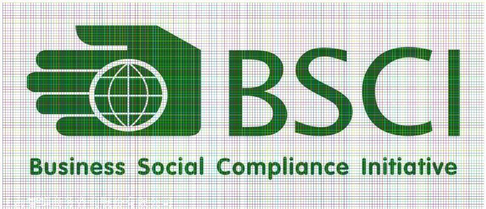 BSCI认证审核机构有哪些