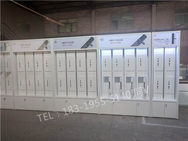 广安采购商家惠氏AOC智能门锁展示台