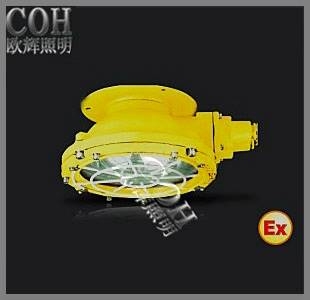 BCW6219防爆顶灯 BCW6219防爆吸顶灯 BCW6219防腐防爆泛光灯