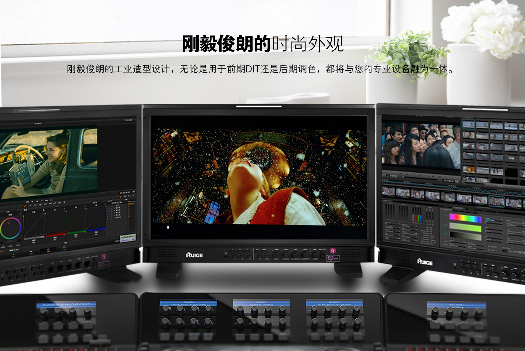 瑞鸽ruige241寸电影级p3色域高清桌面型液晶监视器tld2410hd