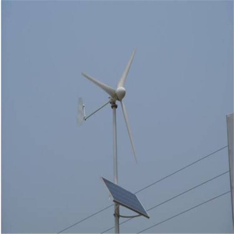 风力发电机马达直驱式 迎风自动运转 家用风力发电机抗风能力强