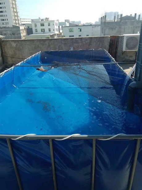 水产养殖帆布水池图片 帆布鱼池价格 养鱼帆布水池厂家