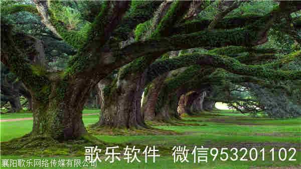 抖音-视频md5文件怎么查看