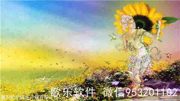 抖音-视频md5文件怎么查看